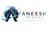 Aneesh Infotech